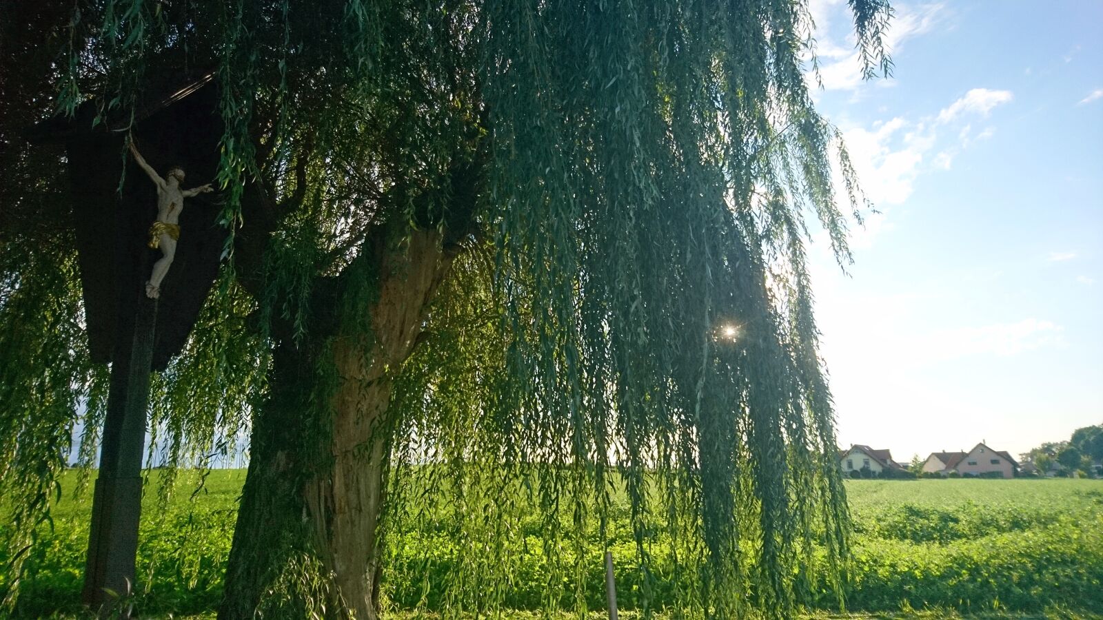 Sony Xperia X sample photo. Tree, cross, jesus photography