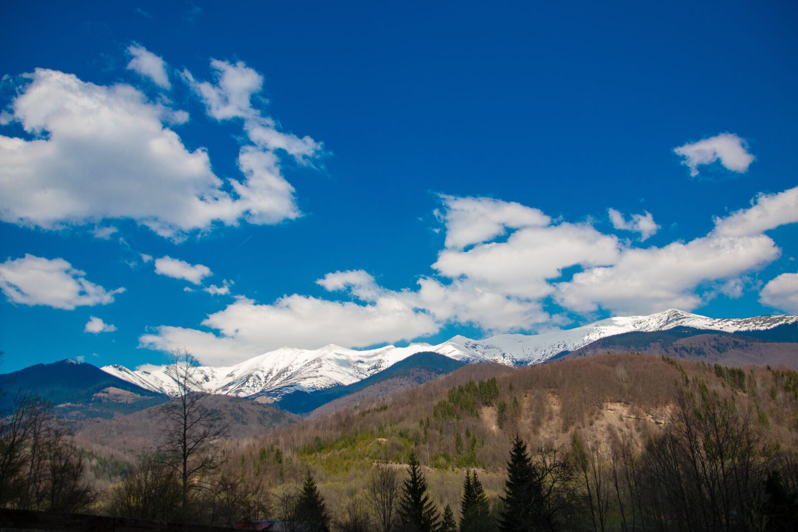 Canon EOS 70D sample photo. Landscape, nature, forest photography