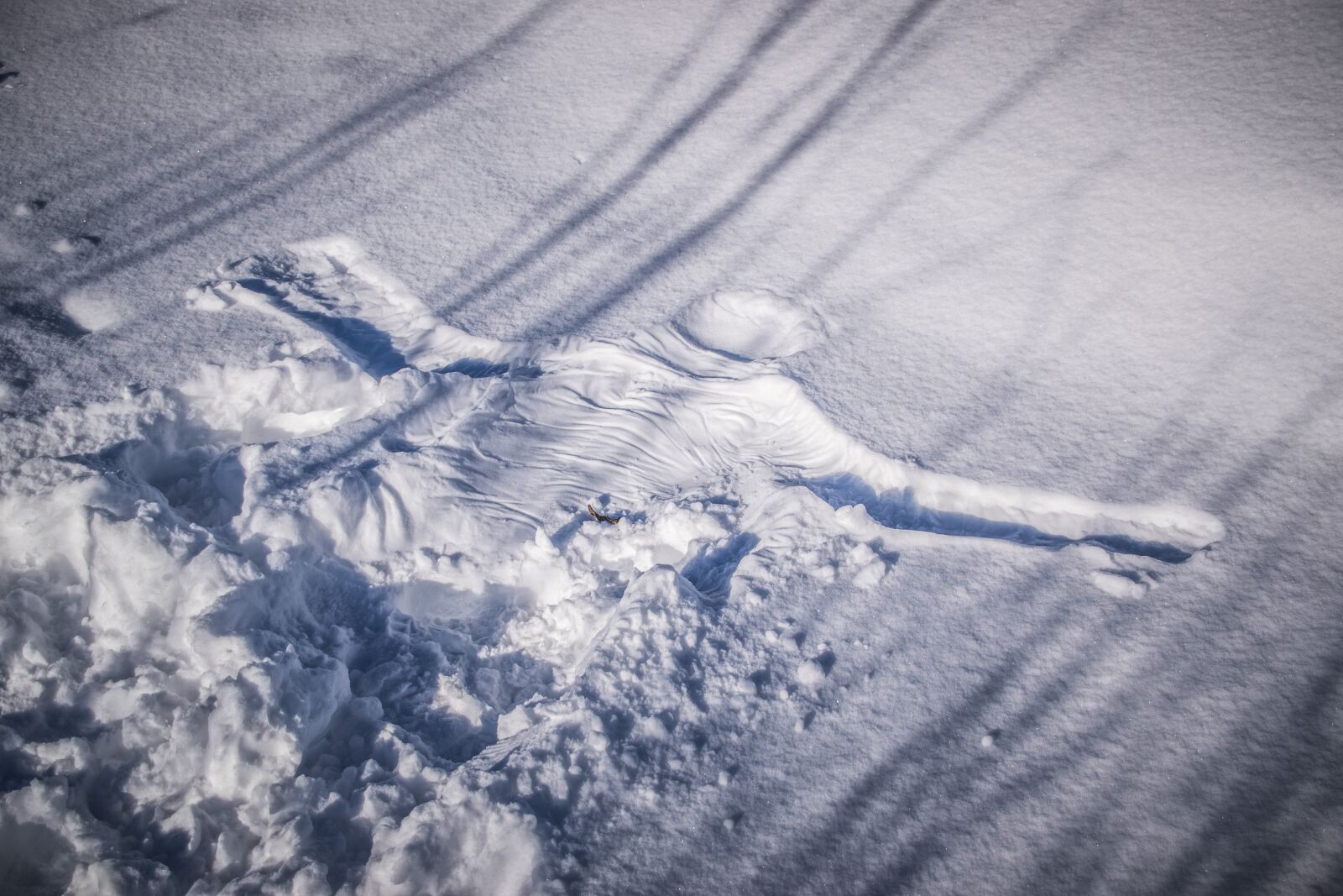 Nikon D5300 sample photo. Snow, frost, print photography