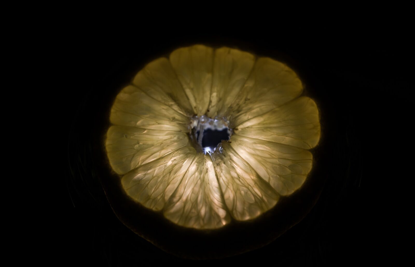 Sony ILCA-77M2 sample photo. Black, fruit, lemon, light photography