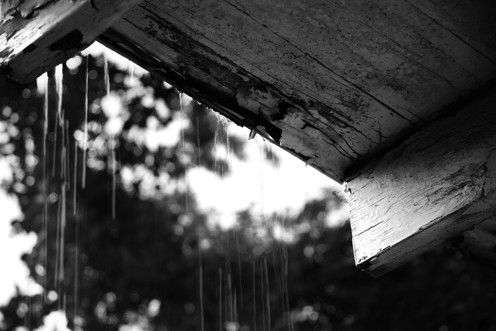 Canon EOS 30D sample photo. Monochrome, outdoors, architecture photography