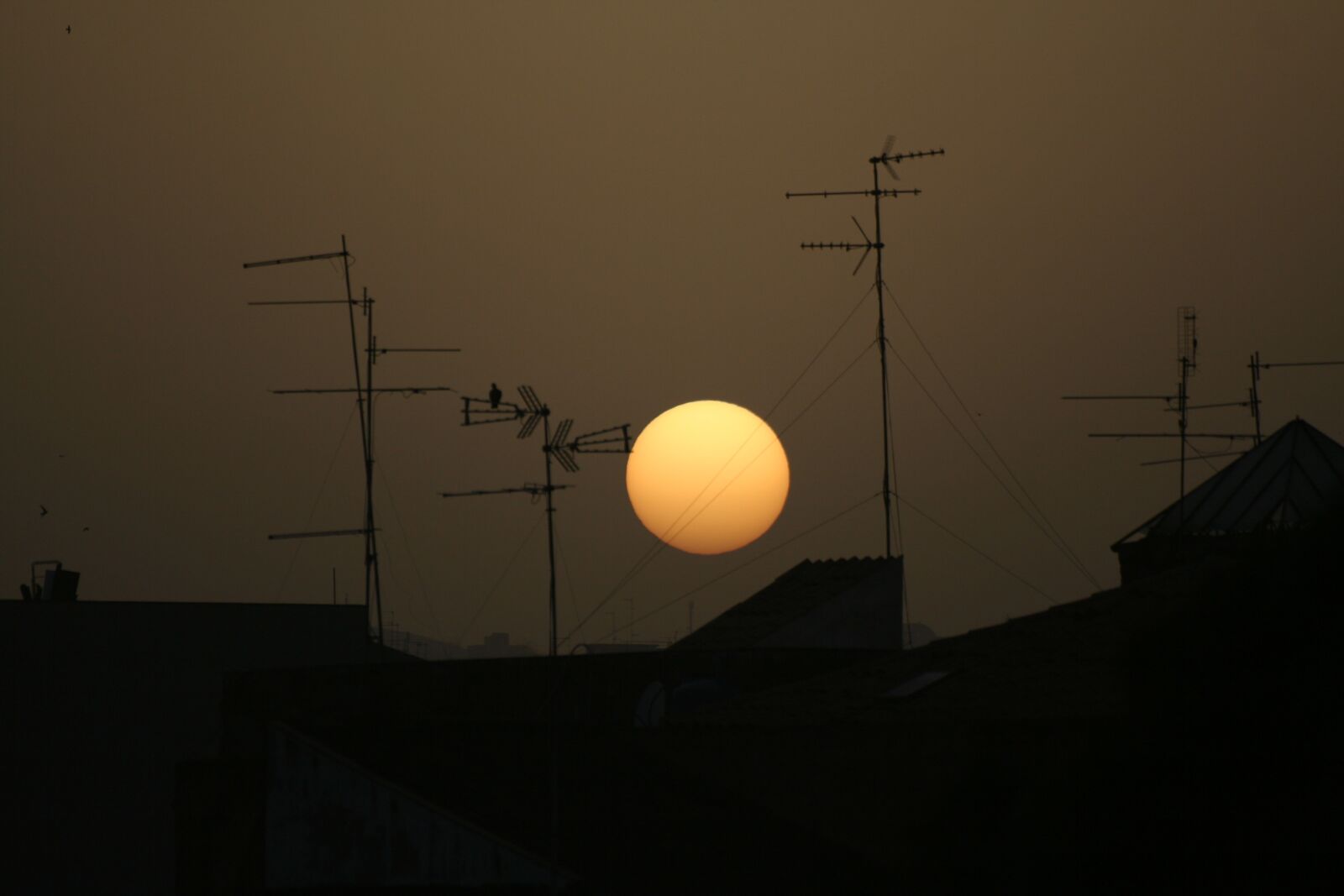 Canon EOS 350D (EOS Digital Rebel XT / EOS Kiss Digital N) sample photo. Sun, sunset, sun matt photography