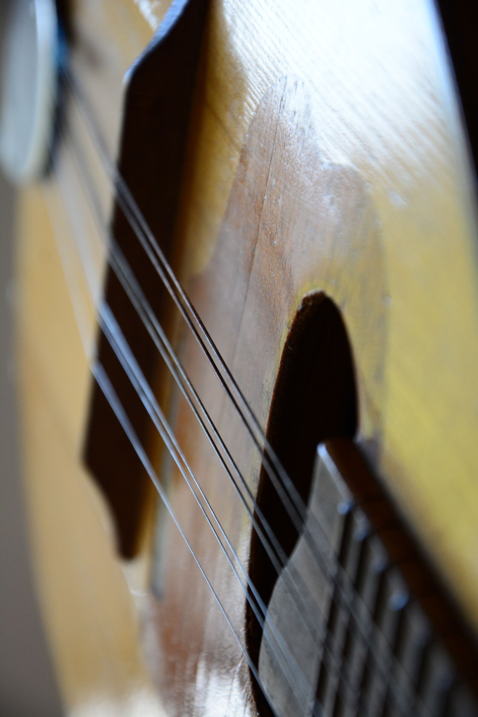 Nikon D5200 sample photo. Guitar, music, tool photography