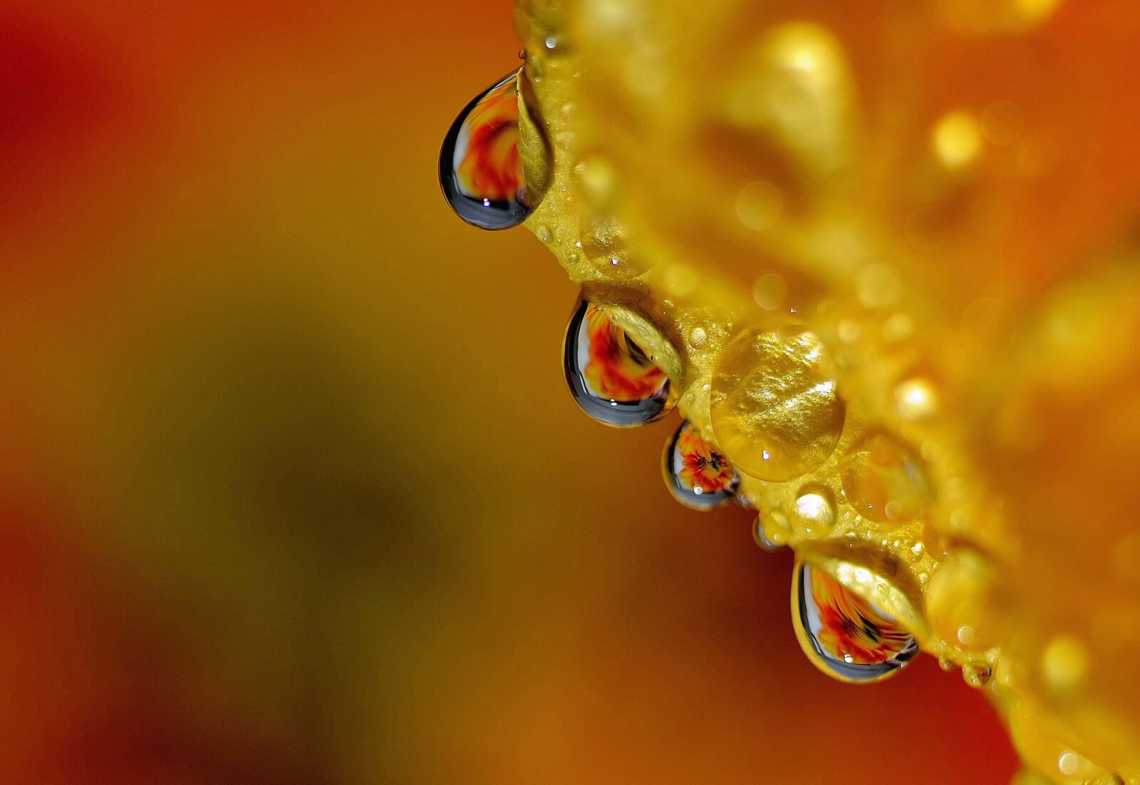 Nikon D90 sample photo. Drop, droplets, high speed photography