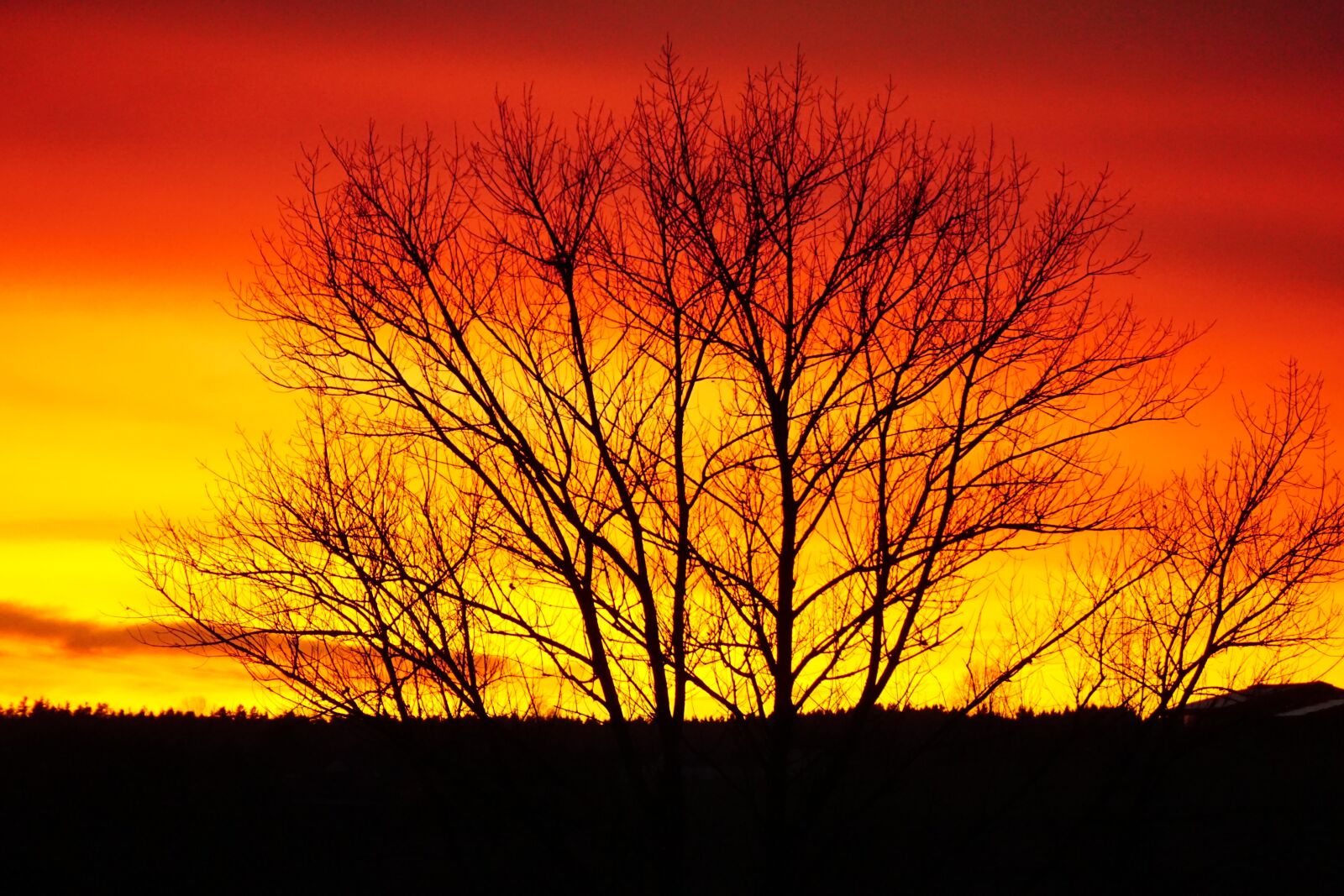 Sony E 55-210mm F4.5-6.3 OSS sample photo. Sunset, abendstimmung, background image photography