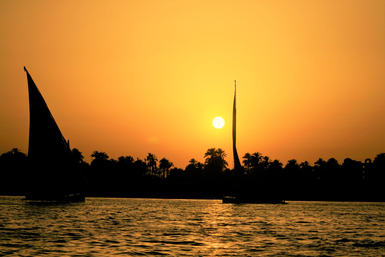 Canon EOS 400D (EOS Digital Rebel XTi / EOS Kiss Digital X) sample photo. Sunset, nile, egypt photography
