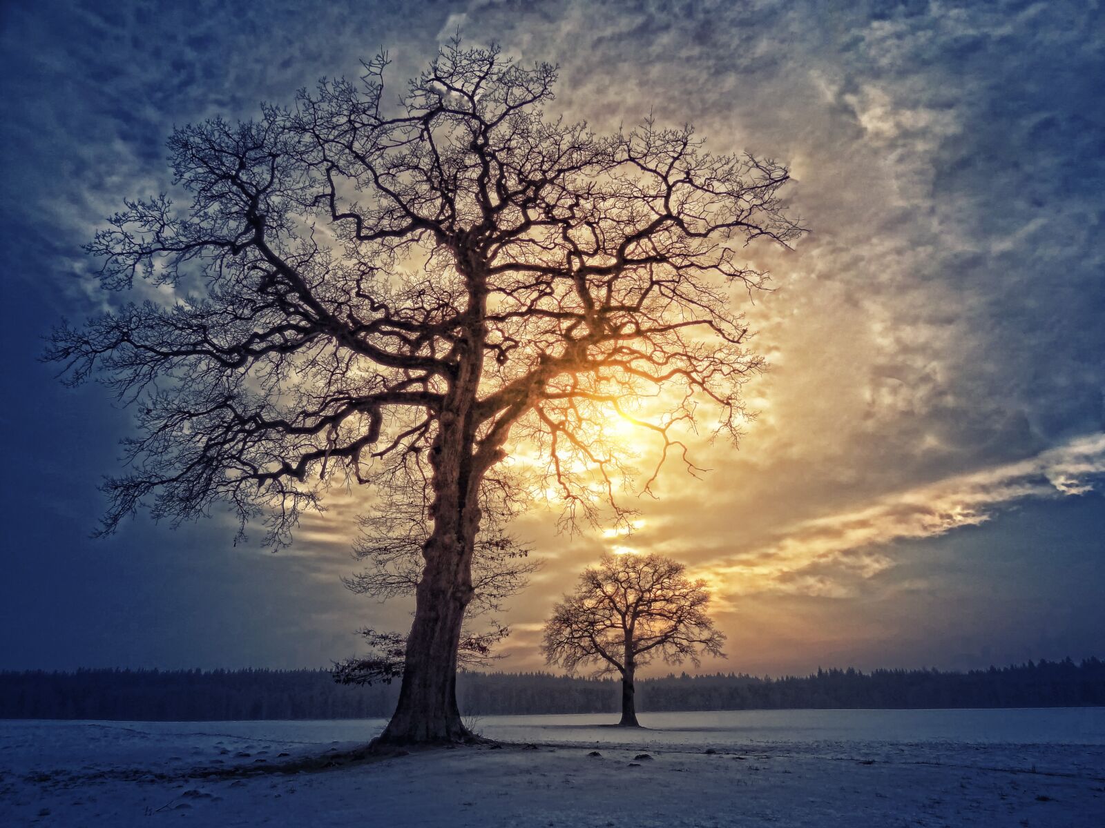 Sony Cyber-shot DSC-HX9V sample photo. Tree, nature, landscape photography