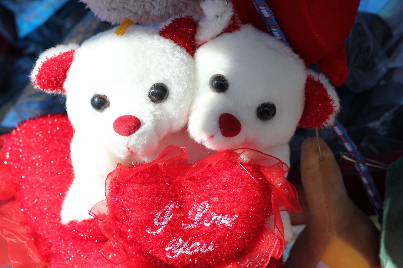 Canon EOS 550D (EOS Rebel T2i / EOS Kiss X4) sample photo. Teddy bears, together, in photography
