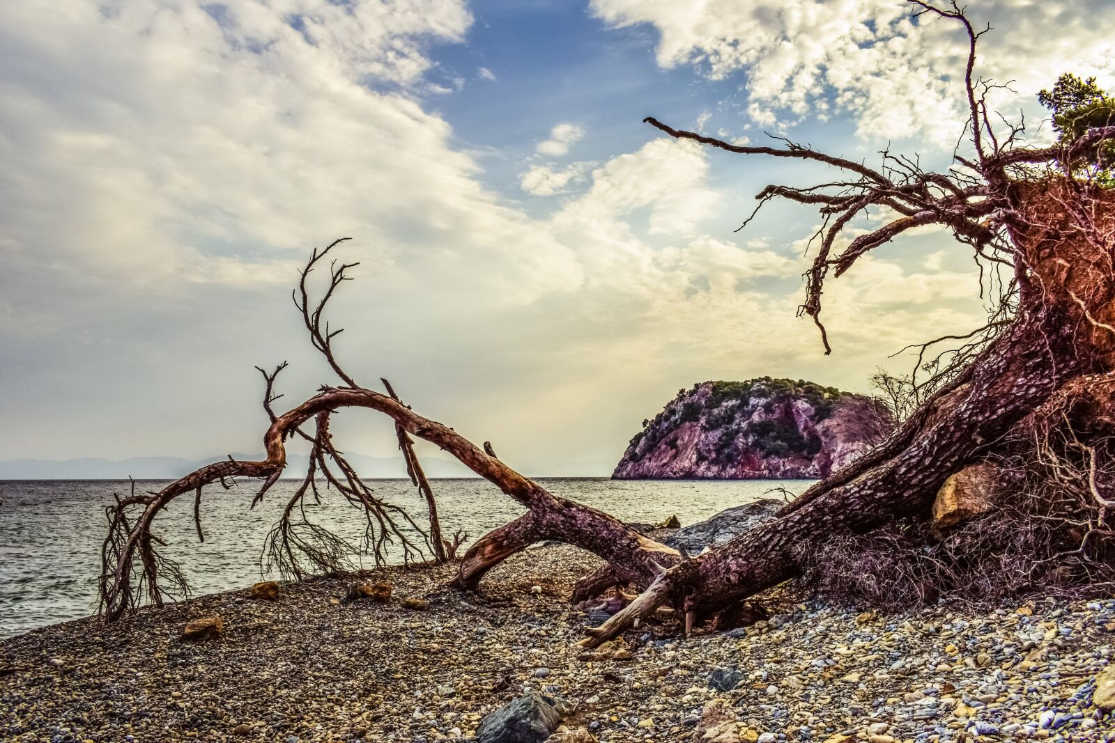 Nikon D3300 sample photo. Pebble beach, wild, fallen photography