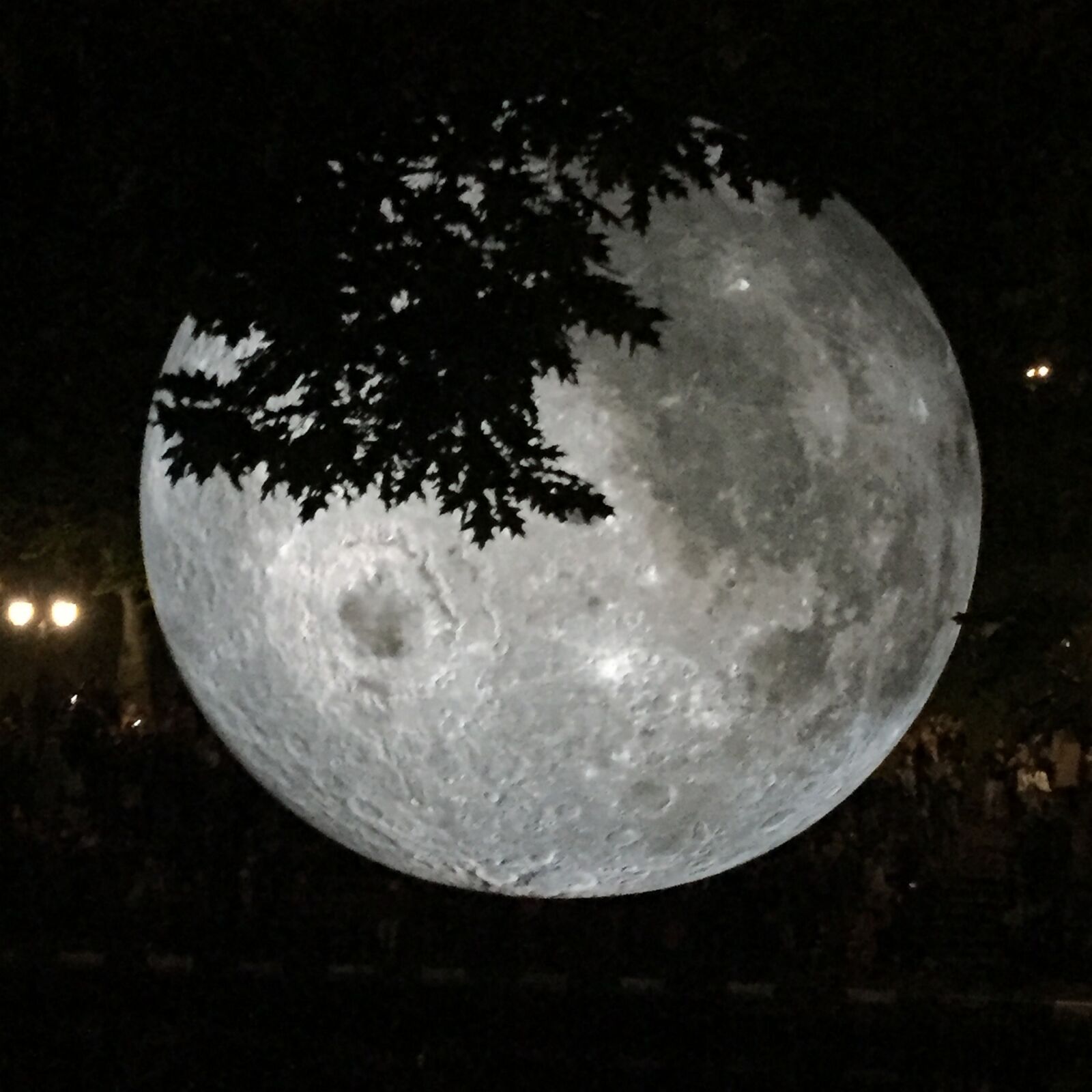 iPhone 6 back camera 4.15mm f/2.2 sample photo. Moon, night, moonlight photography
