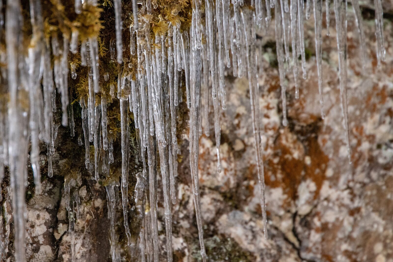 Canon EOS 6D Mark II sample photo. Ice, cold, winter photography