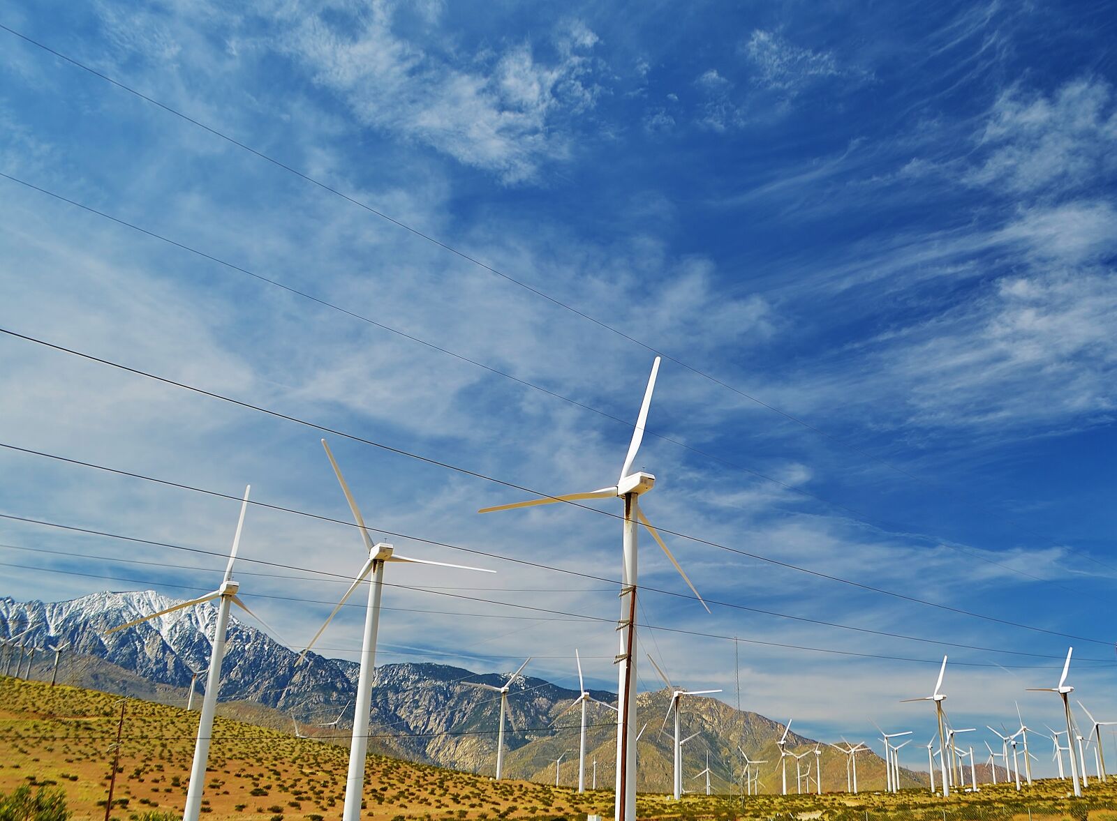 Nikon D5100 sample photo. Palm springs, california, usa photography