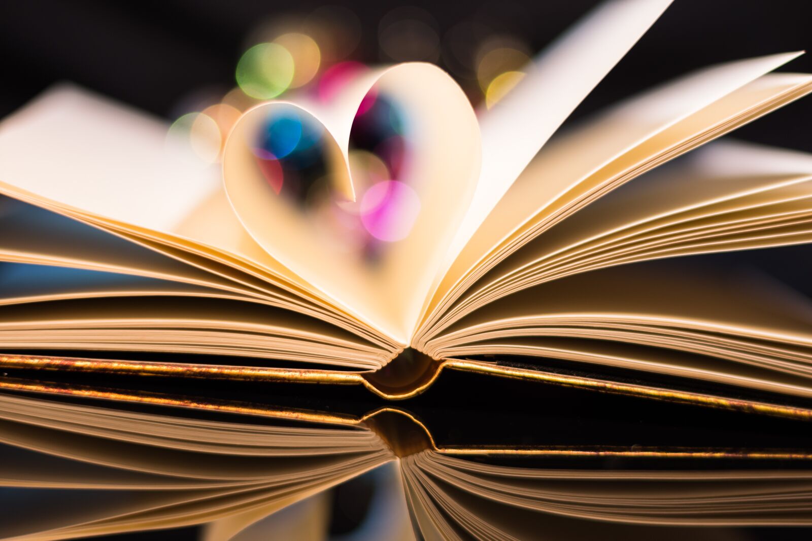 Nikon D7200 sample photo. Book, love, heart photography