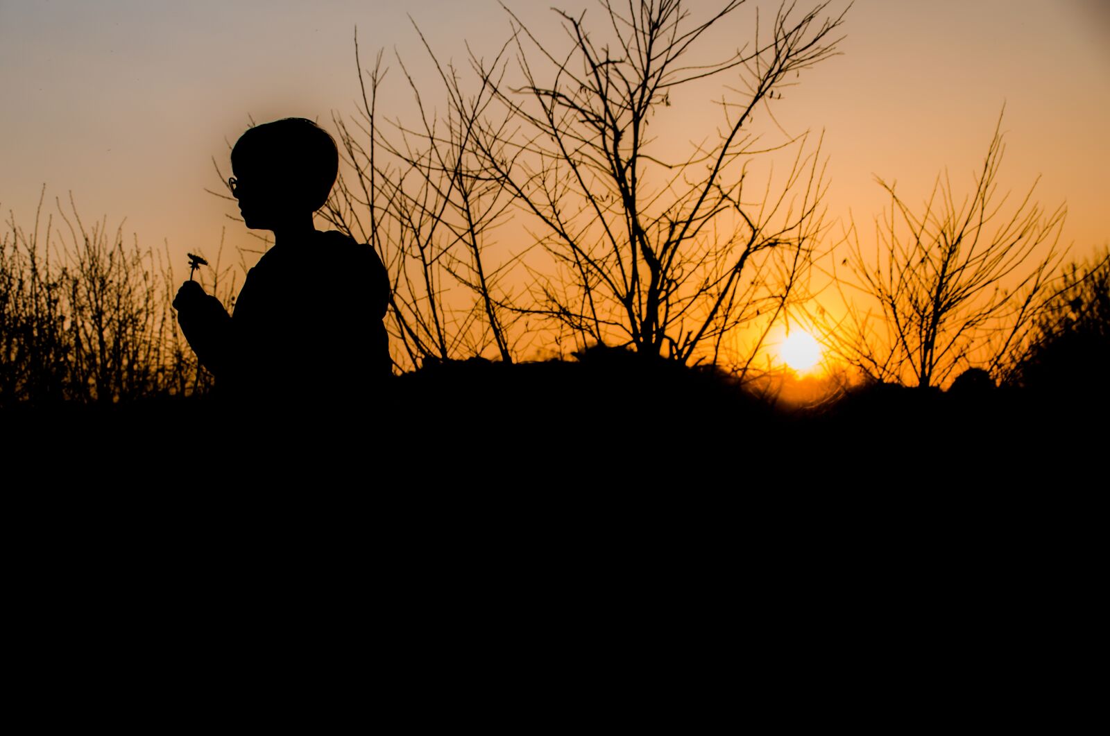 Nikon D5500 sample photo. Sun, sunset, landscape photography