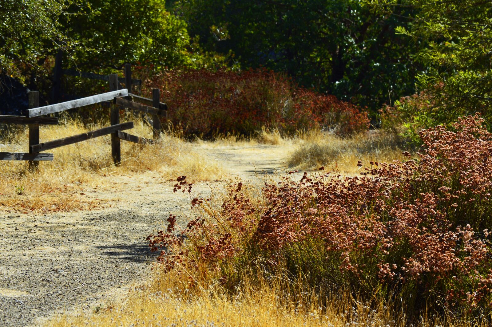 Nikon D3200 sample photo. Rural, countryside, wood photography