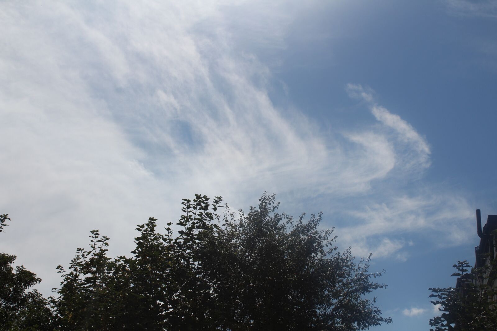 Canon EOS 1300D (EOS Rebel T6 / EOS Kiss X80) sample photo. Cloud, tree, green photography