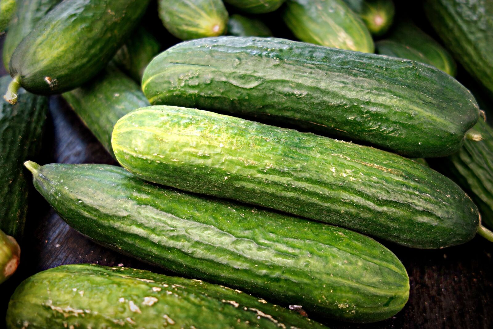 Sony Cyber-shot DSC-RX100 sample photo. Cucumber, vegetable, fresh cucumber photography