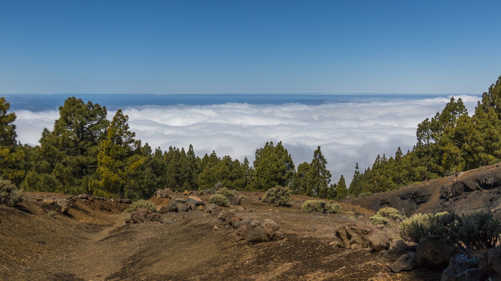 Canon EOS 70D sample photo. Volcano, canary islands, volcanic photography