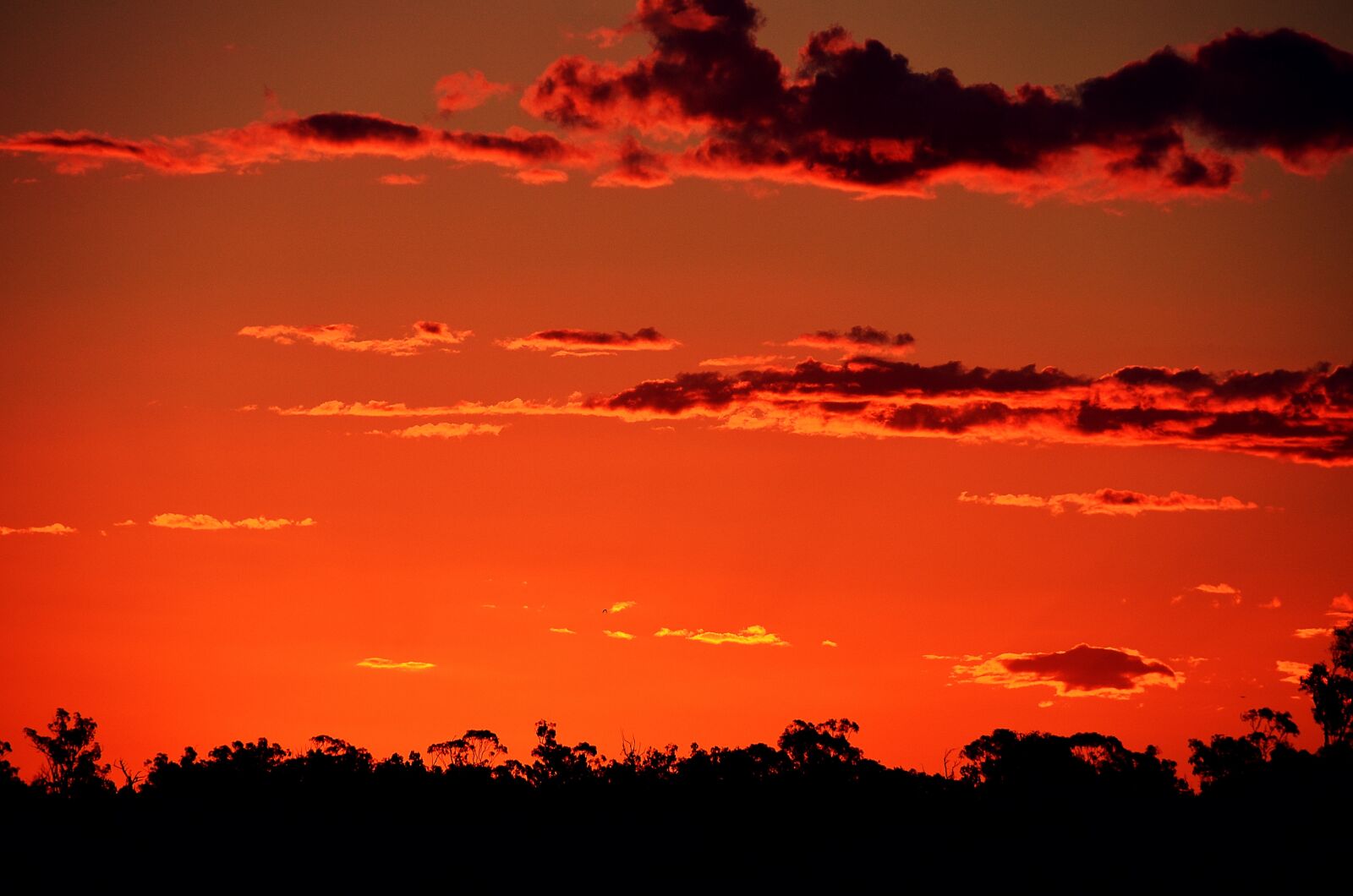 Nikon D7000 sample photo. Nightfall, xiao, views from photography