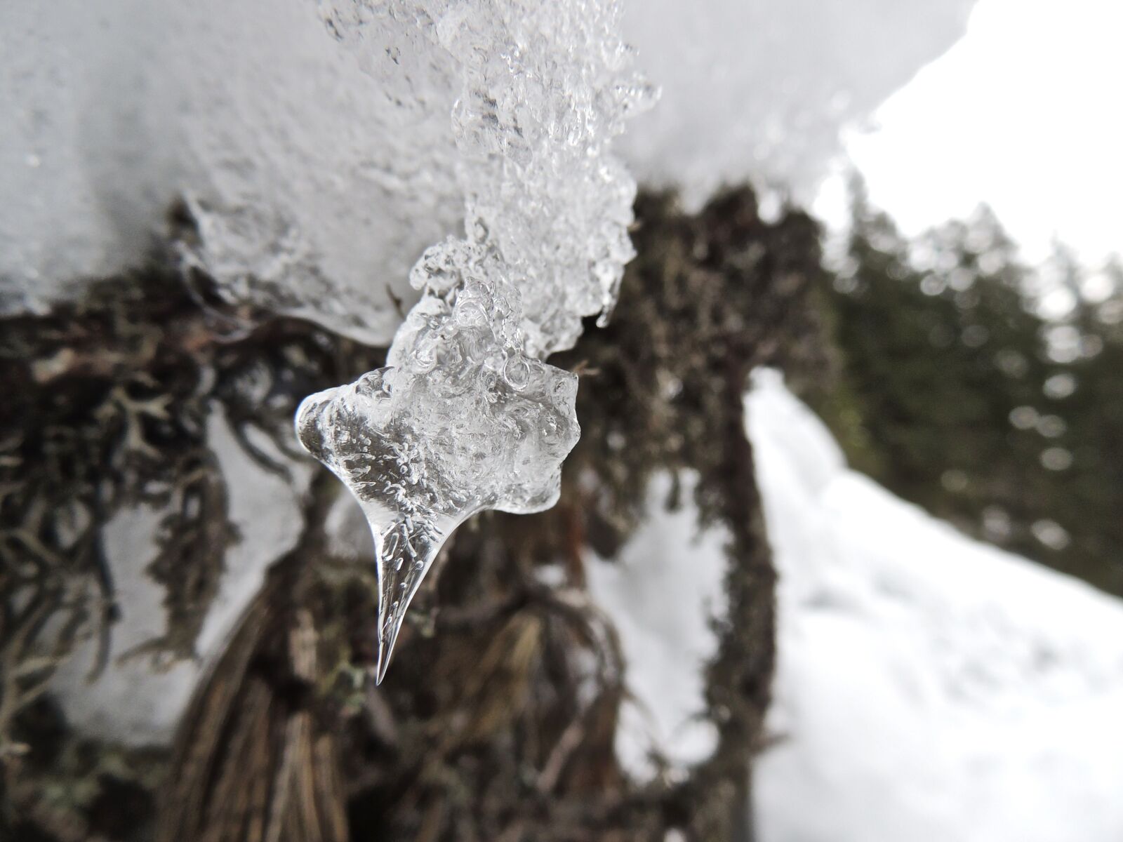 Nikon Coolpix P510 sample photo. Icicle, water, winter photography