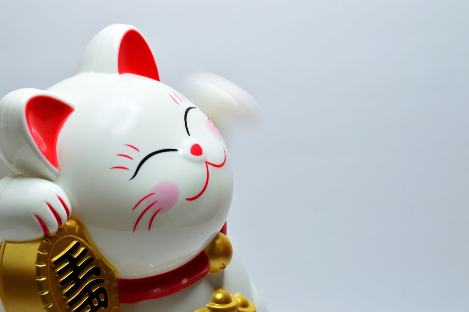 Nikon D3200 sample photo. Good luck, lucky, fortune photography