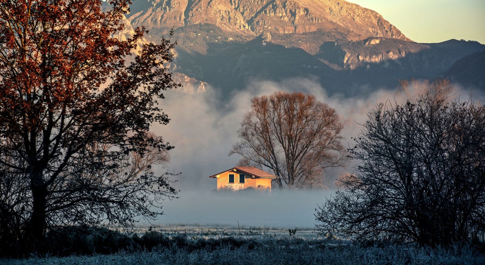 Nikon D7100 sample photo. Fog, house, forest photography