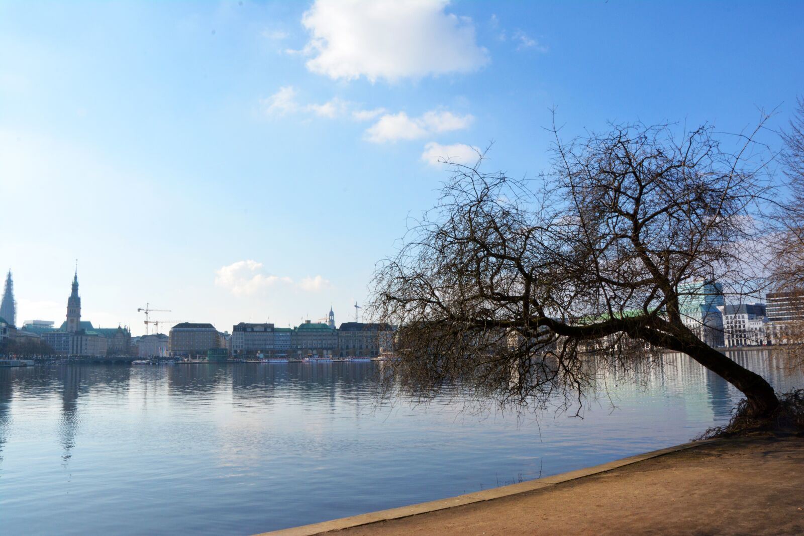 Nikon D7100 sample photo. Hamburg, lake, city park photography