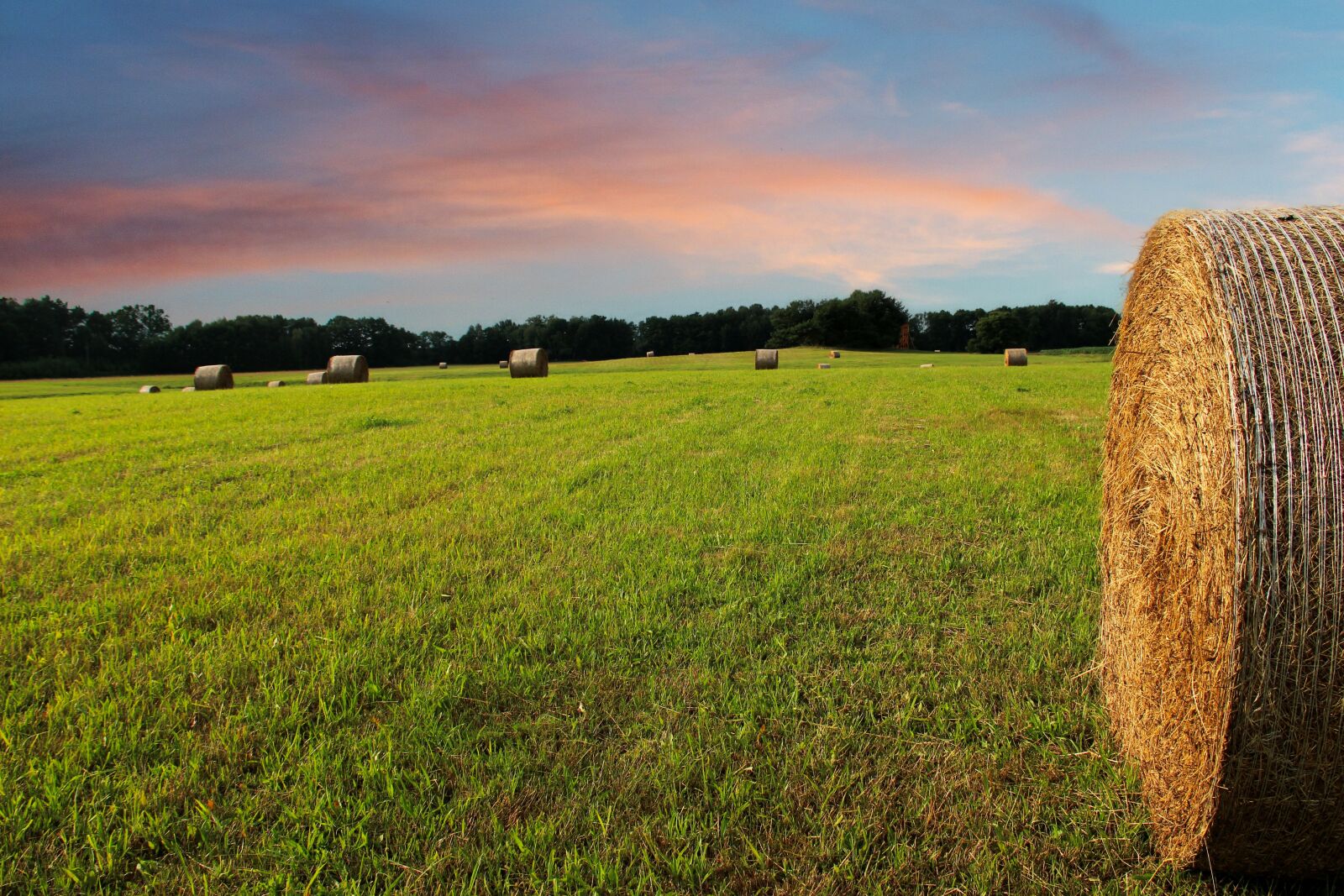 Canon EOS 600D (Rebel EOS T3i / EOS Kiss X5) sample photo. Straw bales, arable, field photography