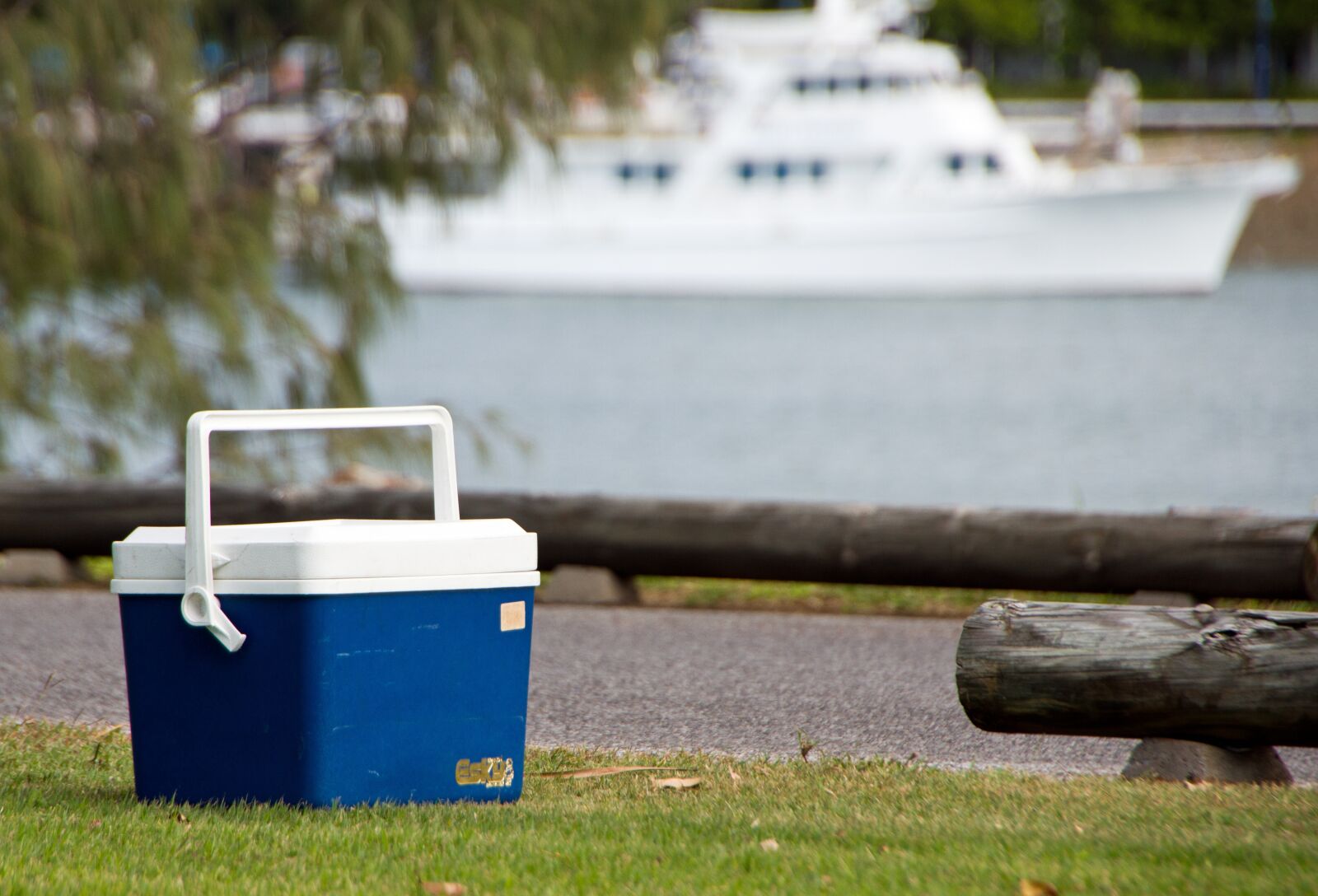 Canon EOS 7D sample photo. Esky, summer, park photography