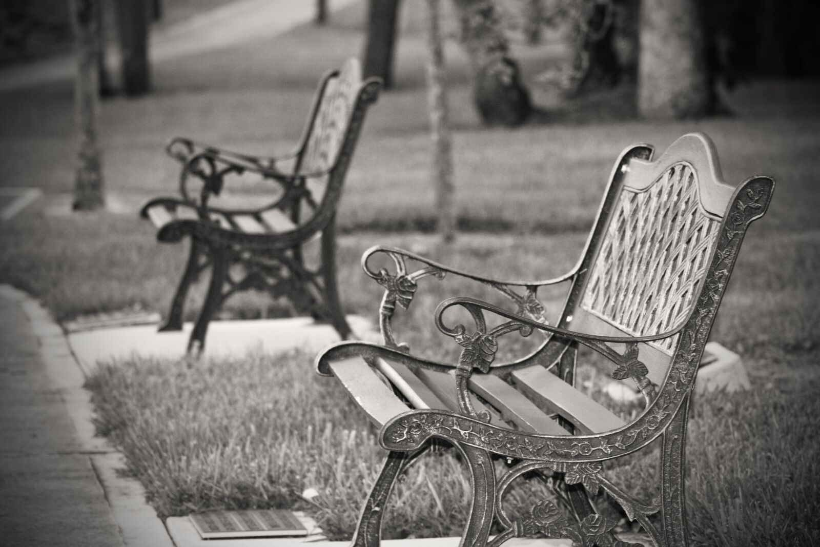 Canon EOS 20D sample photo. Benches, park, outdoor photography