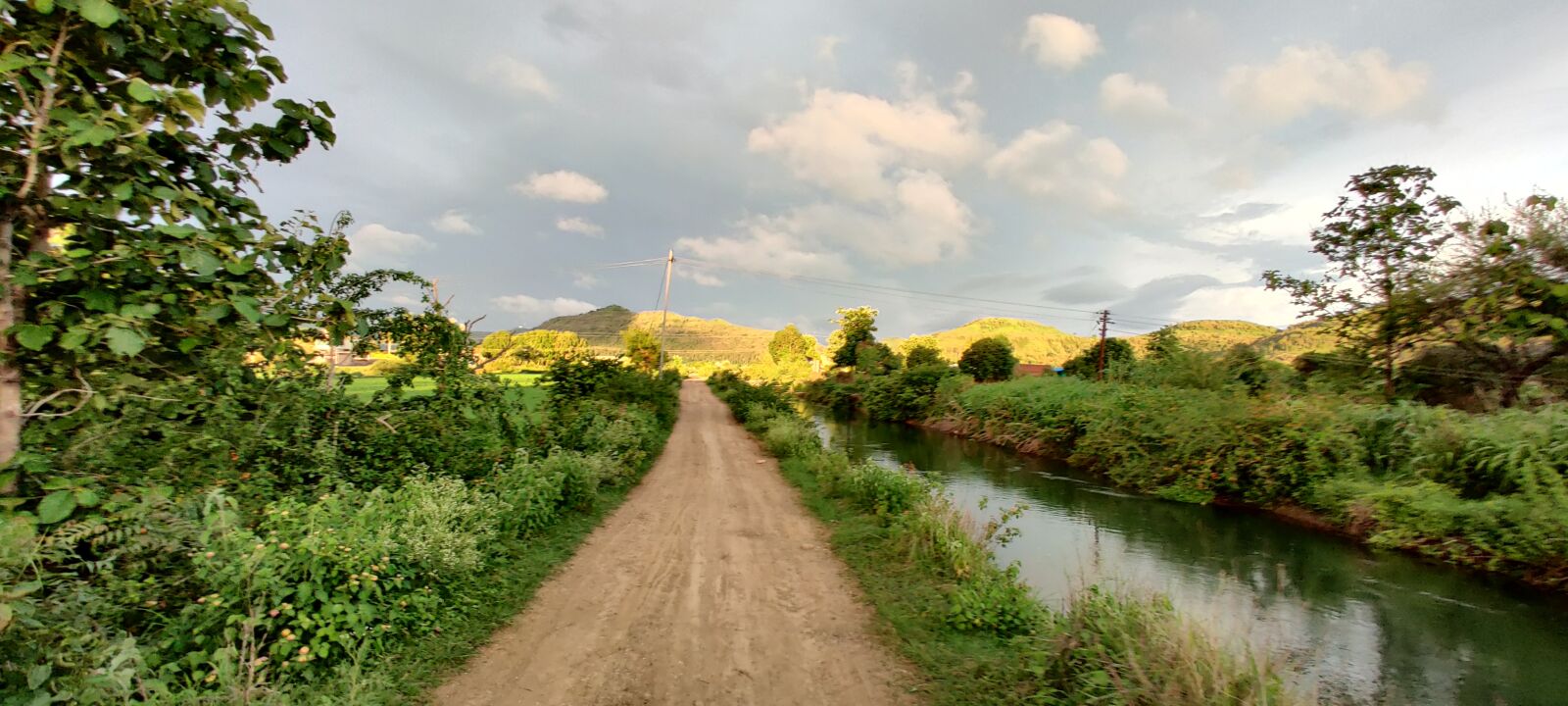 OnePlus HD1901 sample photo. Nature, road, greener photography