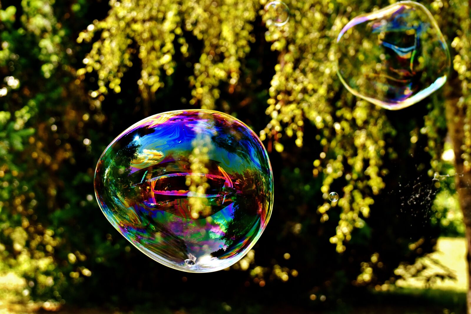 Nikon D7200 sample photo. Soap bubble, huge, large photography