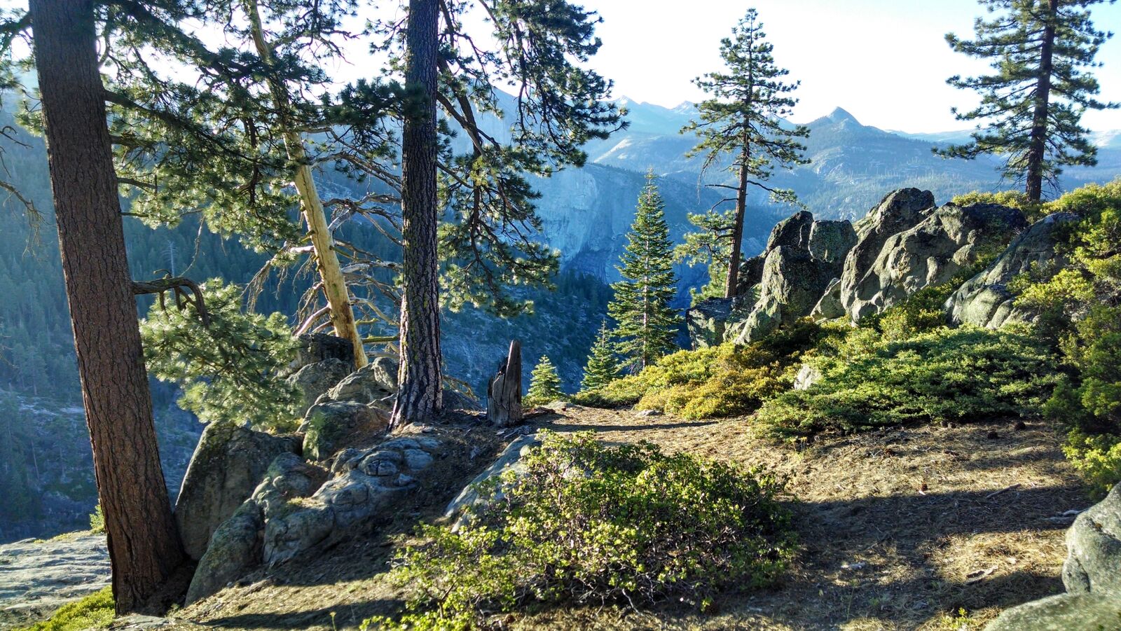 Motorola XT1080 sample photo. Yosemite, high country, trees photography