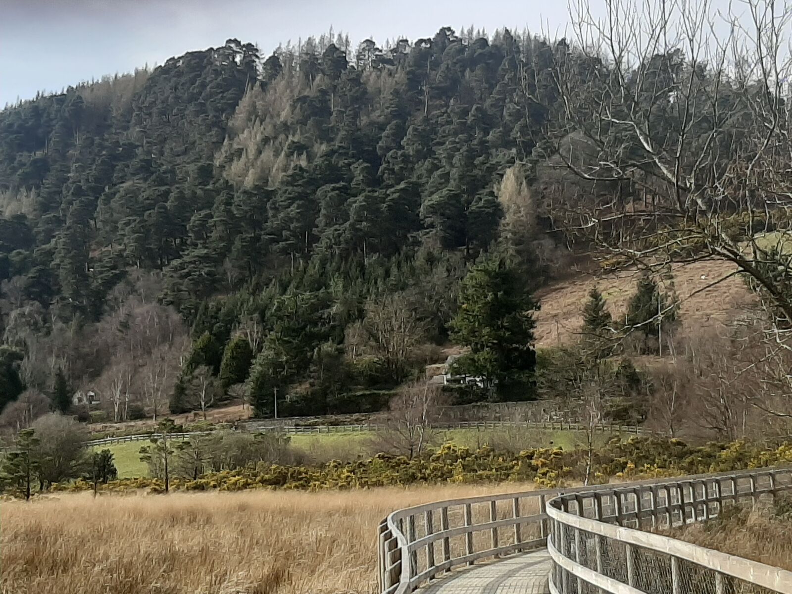 Samsung Galaxy A50 sample photo. Ireland, glendalough, wicklow photography