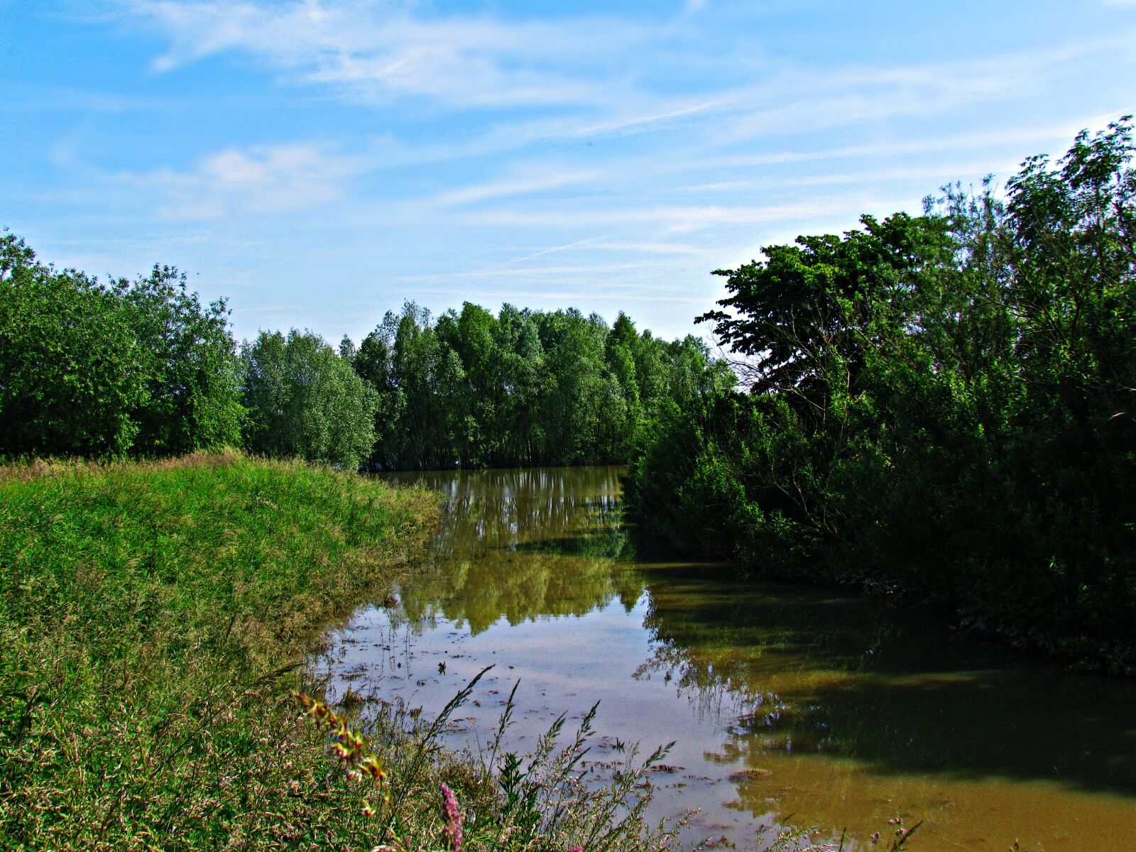 Canon PowerShot SX30 IS sample photo. Field, meadow, water photography