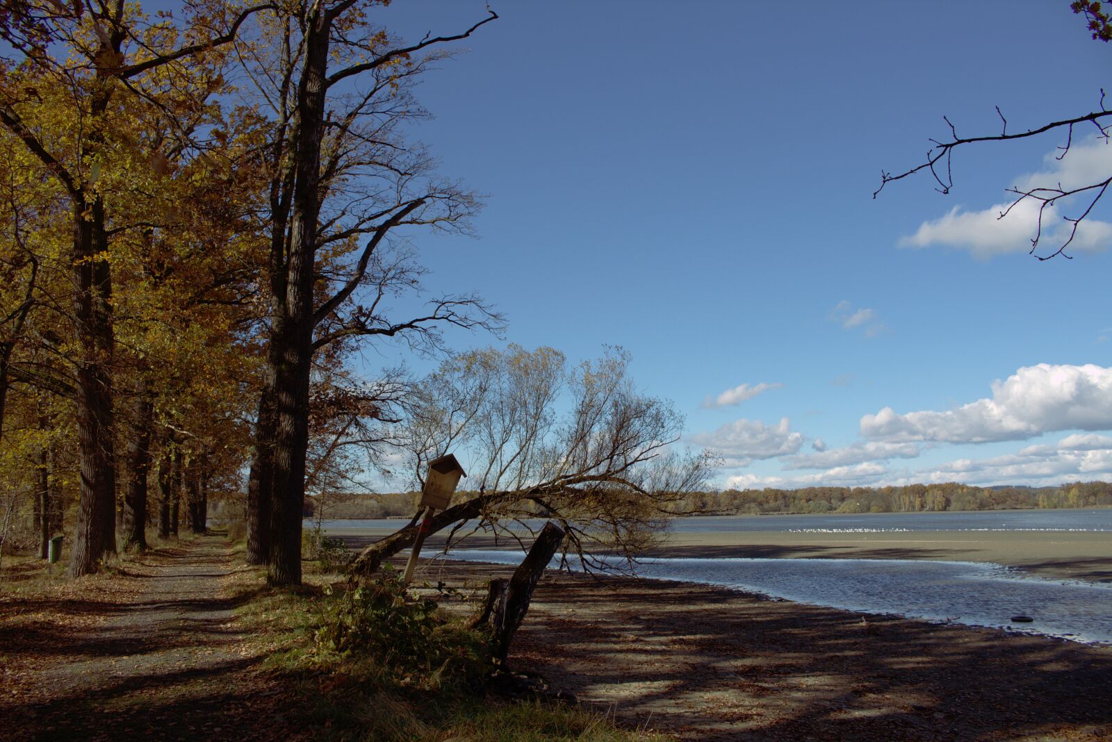 Canon EOS 700D (EOS Rebel T5i / EOS Kiss X7i) sample photo. Pond, bank, landscape photography