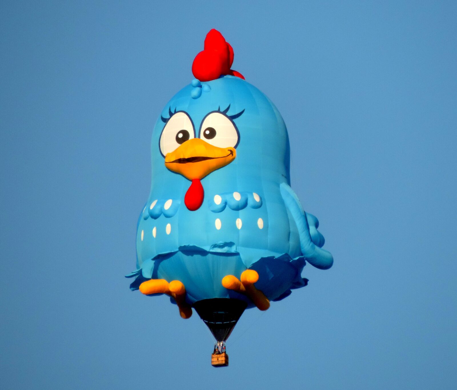 Nikon Coolpix P520 sample photo. Chicken invaders, festival, instructions photography