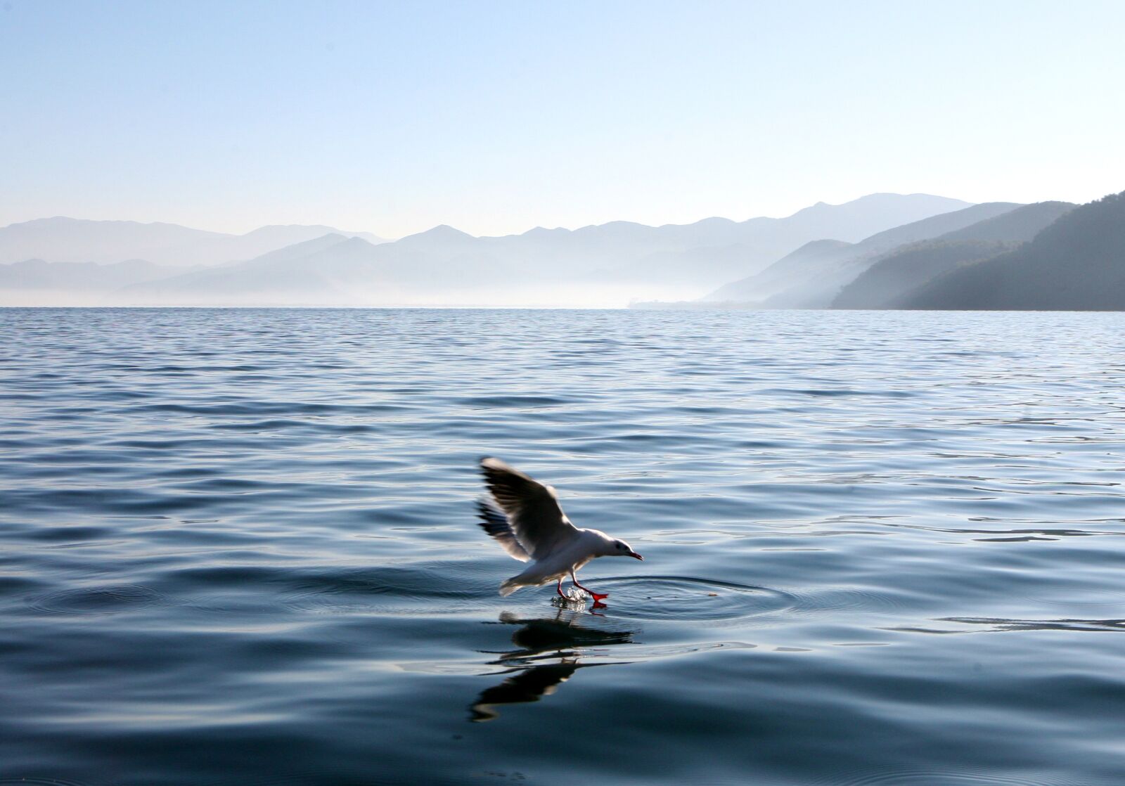 Canon EOS 5D sample photo. Lugu lake, autumn, plateau photography