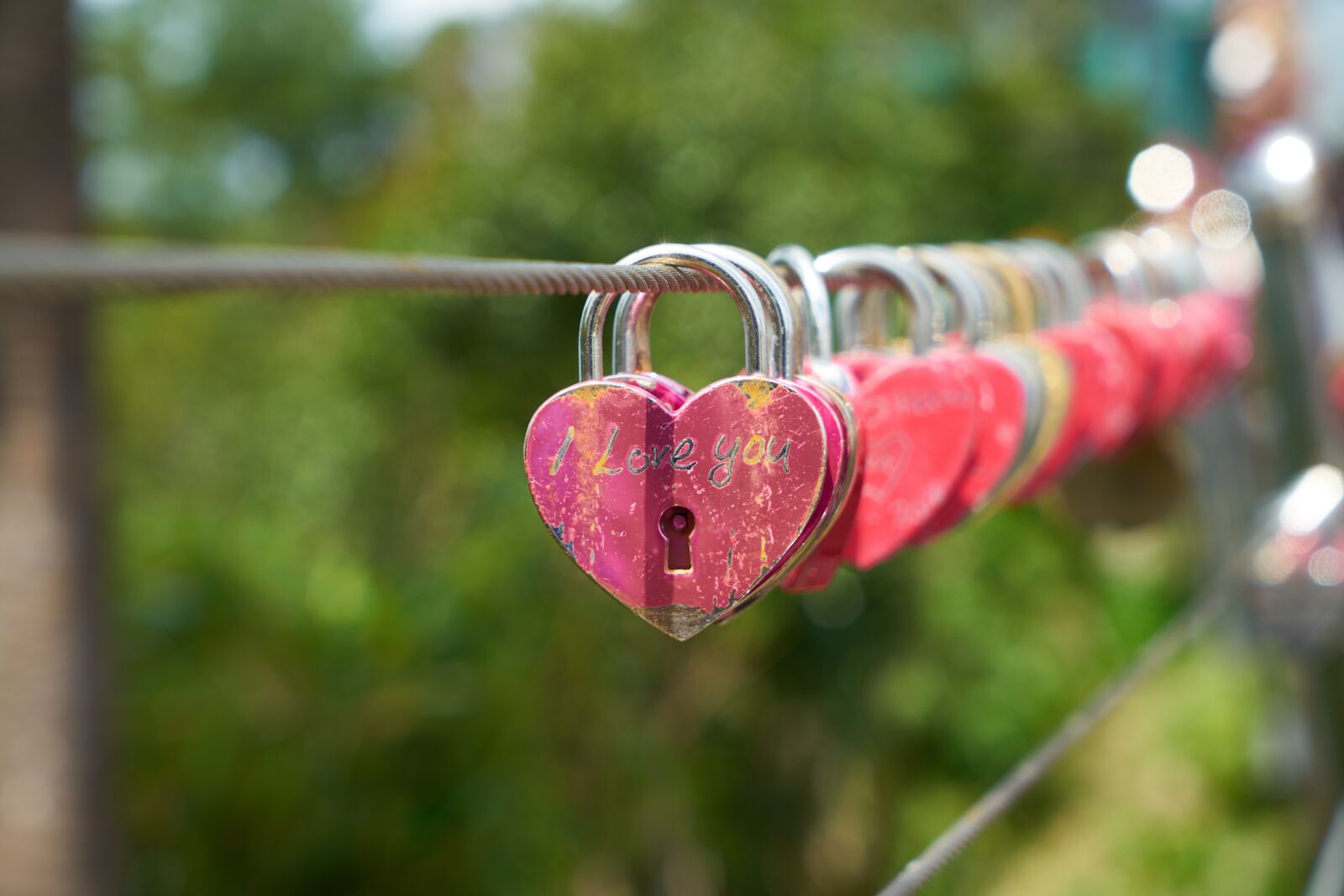 Sony a7R II sample photo. Heart, pink, deans photography