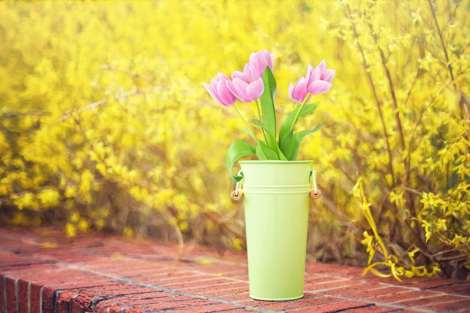 Canon EF 50mm F1.4 USM sample photo. Spring flowers, forsythia, yellow photography