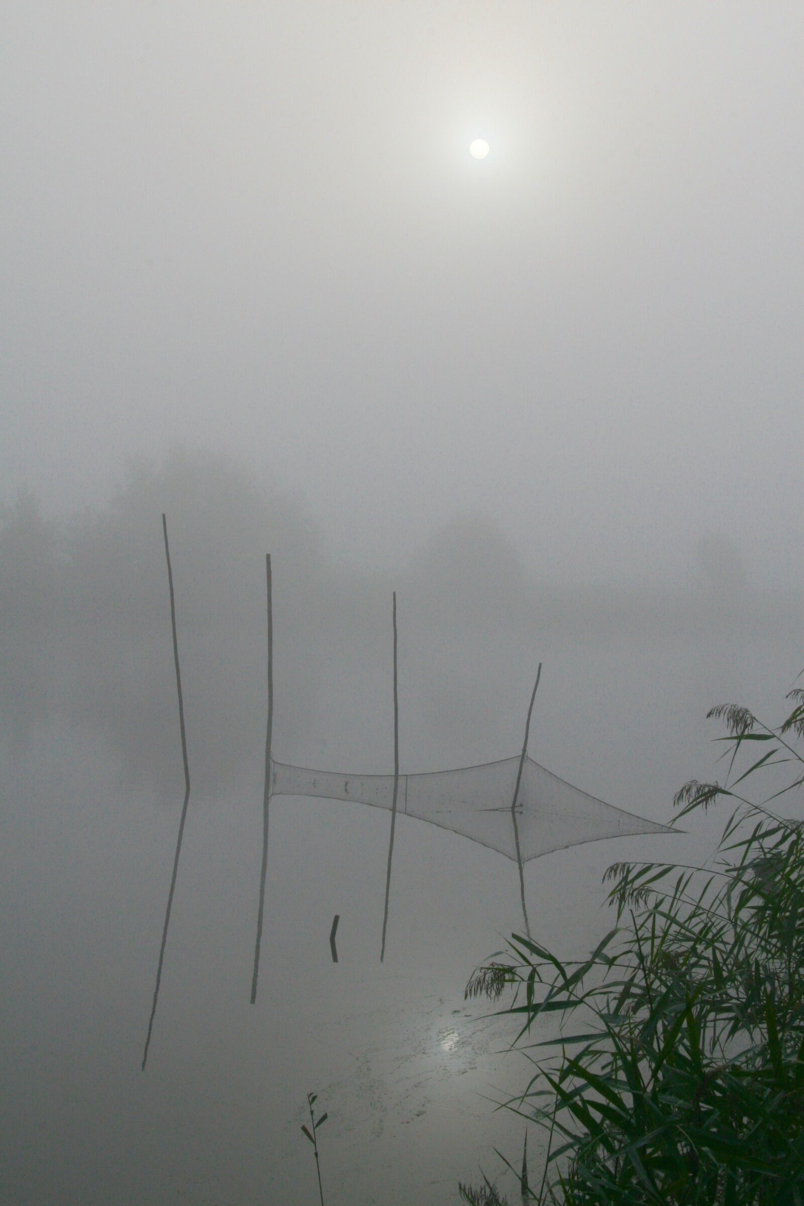 Canon EOS 30D sample photo. Fog, water, fishnet photography
