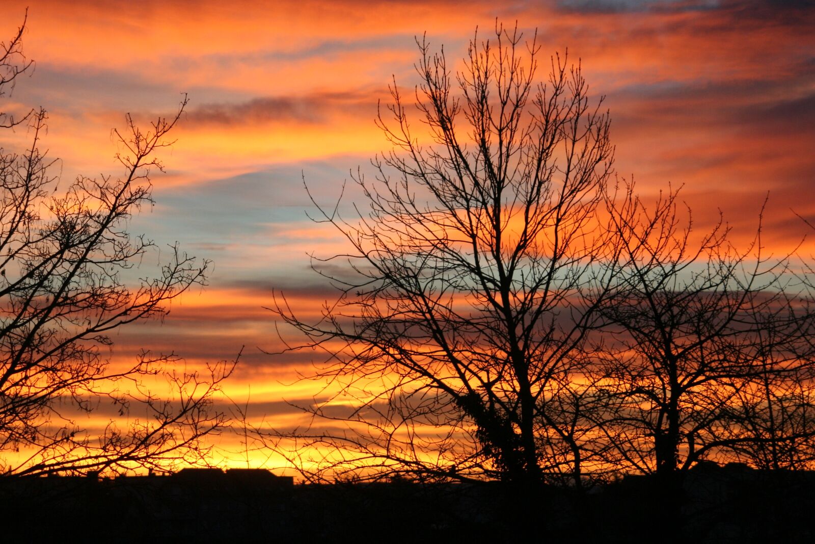 Canon EOS 350D (EOS Digital Rebel XT / EOS Kiss Digital N) sample photo. Morning, sun, sky photography