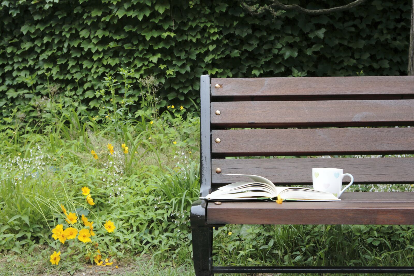 Canon EOS 5D Mark III sample photo. Bench, pause, book photography