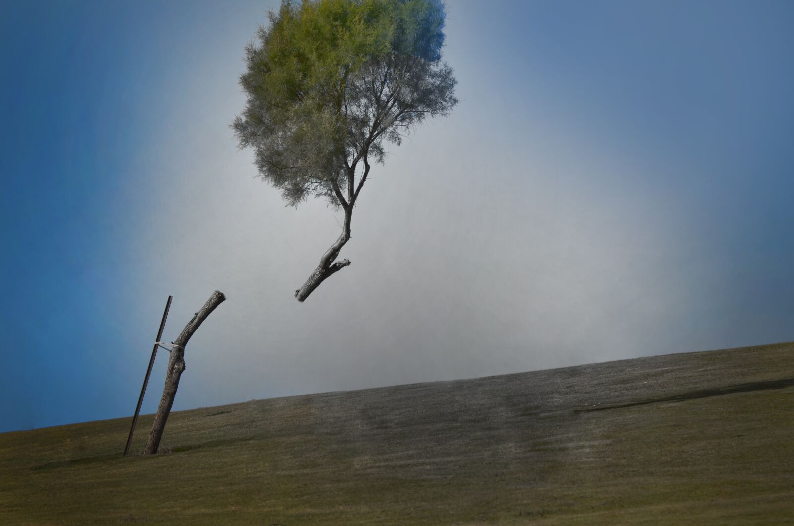 Nikon D7000 sample photo. Sky, nature, outdoors photography