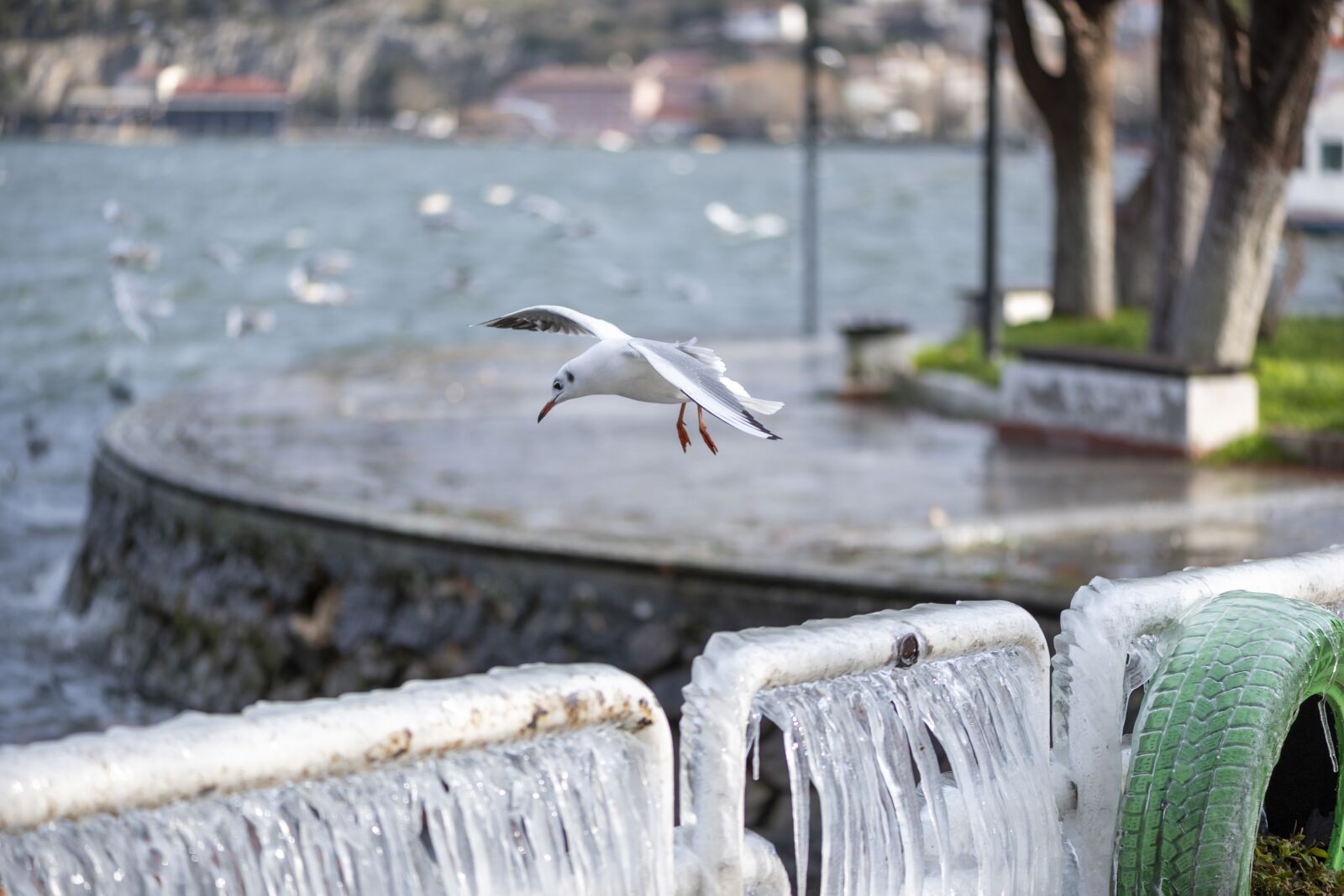 Nikon D750 sample photo. Ice, cold, winter photography