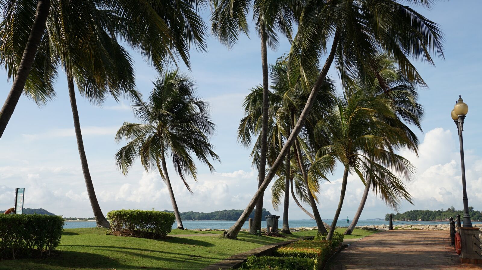 Sony Sonnar T* E 24mm F1.8 ZA sample photo. Beach, palm, blue sky photography