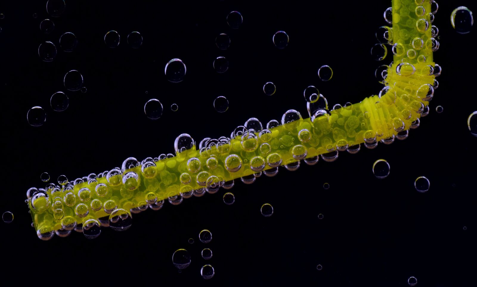 Nikon D3300 sample photo. Straws, halme, drink photography