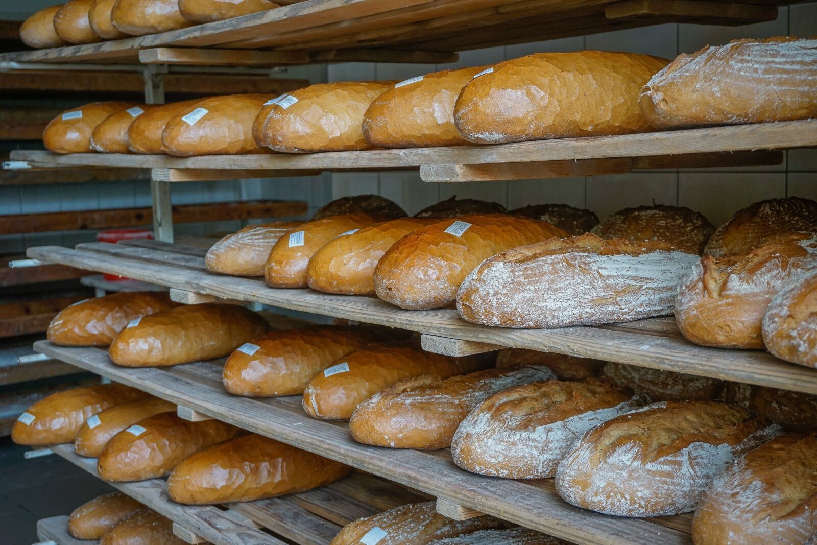 Sony a6000 sample photo. Bread, a loaf of photography