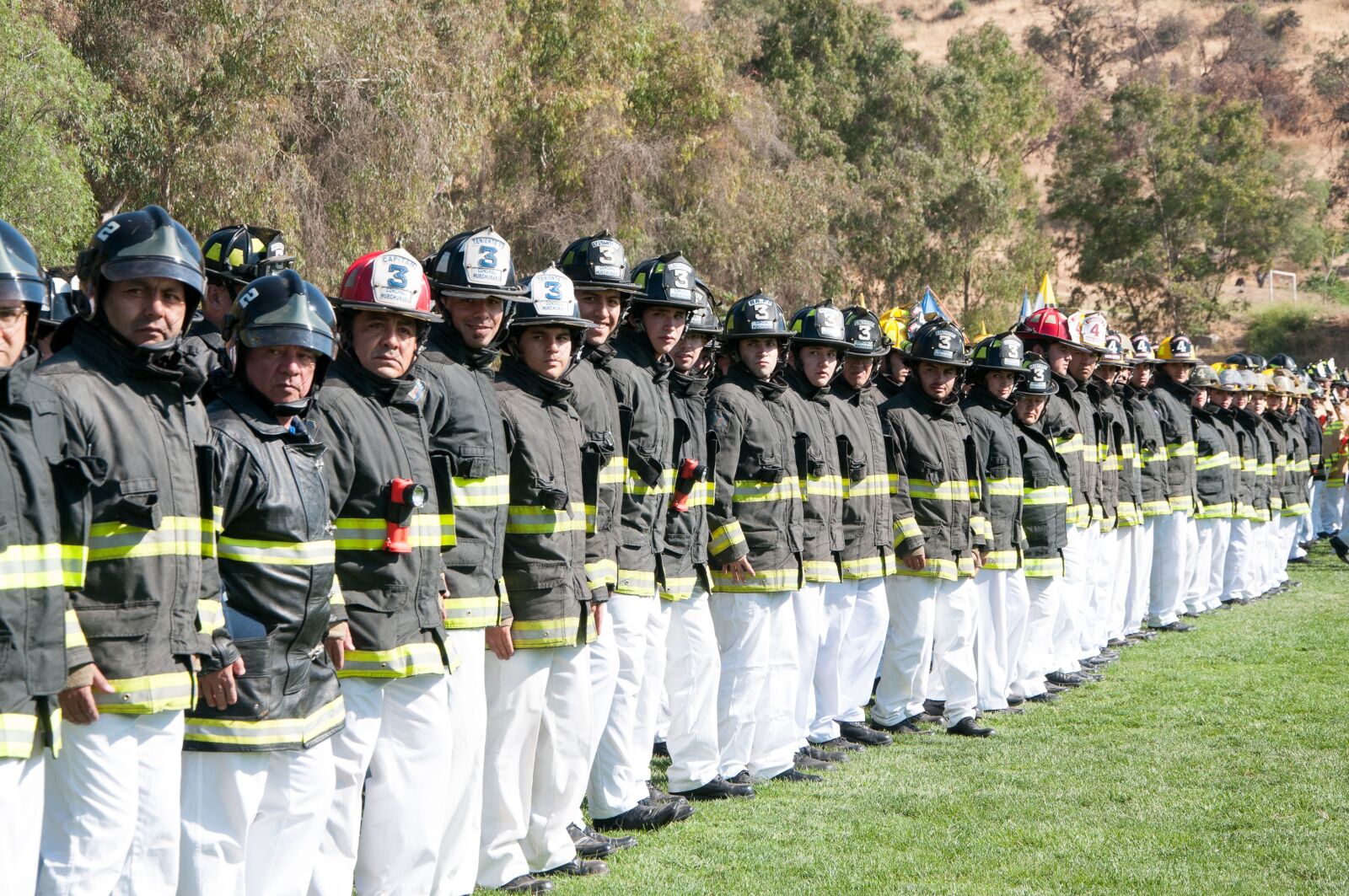 Nikon D300 sample photo. Parade, fire, history photography
