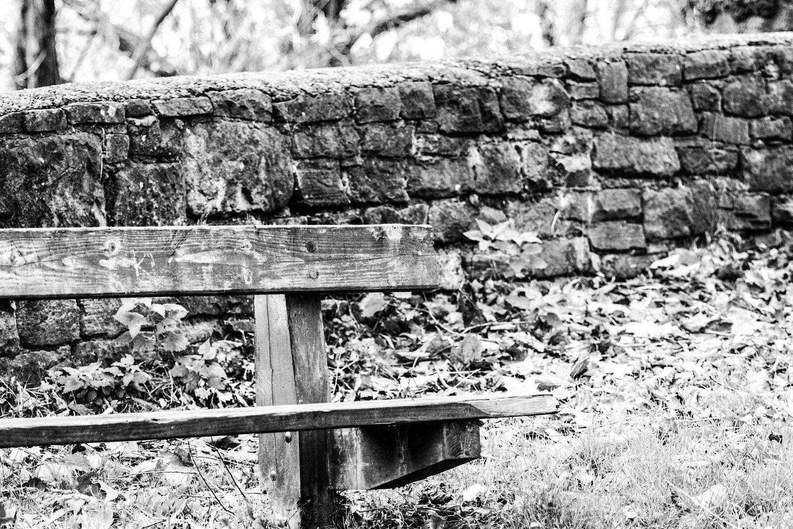 Canon EOS 7D Mark II sample photo. B, w, bench, black photography